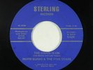 Funk Soul Lounge 45 - Norm Burns - The Chase Is On - Sterling - mp3 - obscure