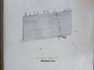 Damien Rice, My Favourite Faded Fantasy - Warner Bros (545451-1) Vinyl VG