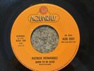 Patrick Hernandez Born To Ne Alive 45 7’ Italy + Strip Jukebkx AQR 2001