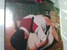 NOFX heavy petting zoo - eating lamb LP Vinyl Record , SEALED / NEW