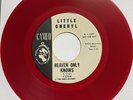 Little Cheryl SOUL DOOWOP 45 Heaven Only Knows Can't We RED WAX CAMEO REPRO MINT