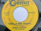 RUDY CALZADO Y SU CHARANGA - Tumba la Cana Jibarito / GUAGUANCO MONTUNO 45