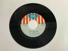 The Cherry Slush – I Cannot Stop You / Don't Walk Away 45 RPM