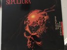 SEPULTURA Beneath the Remains LP VINYL Netherlands Roadracer 1989 9 Track