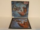 90s Heavy Rock MEAT LOAF bat out of hell II 1993 UK Picture Disc Vinyl LP Mint