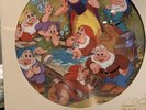Walt Disney Snow White and the Seven Dwarfs LP Picture Disc 1980 Disneyland 3101