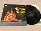 TAMMI TERRELL - IRRESISTIBLE  TAMMI TERRELL  LP TAMLA MOTOWN STML11103 NEAR MINT