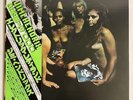 Jimi Hendrix Experience Electric Ladyland Polydor MPX-9955,6 Japan LP OBI