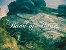BAND OF HORSES Mirage Rock VINYL LP BRAND NEW Gatefold Sleeve