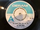 Sue & Sunny- UK A-LABEL DEMO 45  