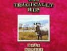 Tragically Hip: Road Apples  LP vinyl *SEALED*