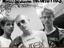 Newtown Neurotics ‎– Kick Out  Vinyl