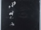 JACK ROSE Red Horse, While Mule ECLIPSE ECL-012 LP SEALED *