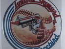 LYNYRD SKYNYRD Freebird MCA 12