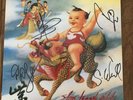 Stone Temple Pilots signed Purple Lp Vinyl COMPLETE