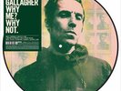 Liam Gallagher - Why Me Why Not Picture Disc Vinyl