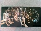 the jimi hendrix experience electric ladyland double vinyl albums