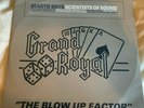 Beastie Boys, The Blow Up Factor, Scientists Of Sound 12