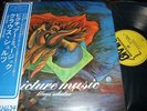 KLAUS SCHULZE : PICTURE MUSIC LP 1976 BRAIN METRONOME UXP-677 JAPAN +OBI