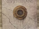 Metal Vinyl WHITESNAKE the Classic Self Titled 1987 LP  IS THIS LOVE