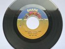 The Ad Libs – Nothing Worse Than Being Alone / If She Wants Him - NORTHERN SOUL