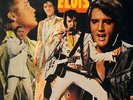 LP Elvis Presley 20 Fantastic Golden Hits CLUB EDITION / BLACK LABEL RCA
