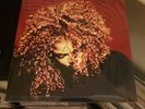 Janet Jackson The Velvet Rope Double 12