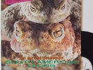 LP 33T Peter and the Test Tube Babies 