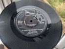 MARVELETTES - The Hunter Gets Captured By The Game.  TMG 594