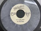 Fidelitones DOOWOP 45 Is It Too Late / Brownie McGhee Need Someone GRAY WAX HEAR
