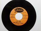Yvonne Baker & The Sensations  - I Can't Change / Mend The Torn Pieces JUNIOR Ex