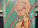 Yoko Takahashi & Megumi Hayashibara - Evangelion Finally Vinyl 12