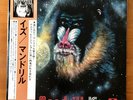 Mandrill - Mandrill Is - 1972 Japanese Pressing -  Jazz - Funk - Soul - Classic