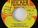 Gibson Brothers Band 