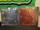 Fall Out Boy Greatest Hits Vinyl Believers Never Die Volumes 1&2 LP Record Album