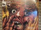 demolition hammer  tortured existence vinyl