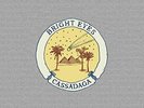 LIMITED648401023916 Bright Eyes / Cassadaga Vinyl Record