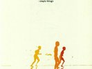 ZERO 7 SIMPLE THINGS NEW SEALED 180G VINYL 2LP REISSUE IN STOCK