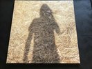 Steven Wilson ?- Unreleased Electronic Music -  2 x LP 180 Gram Vinyl Porcupine