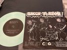 Sheer Terror Record Live at CBGB colored vinyl NYHC Green Marble Record