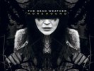 The Dead Weather *SEALED* Horehound 180g 2xLP Vinyl NEW OOP Jack White Stripes