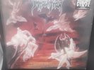 IMMOLATION Dawn of Possession PURPLE Vinyl Record (Deicide Morbid Carcass Slayer