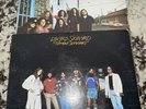 Lynyrd Skynyrd Vinyl 2 Record Lot: Street Survivors & Pronounced