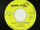 Garage Psych 45 - Heywoods - My Days Are Numbered - Queen-B - mp3