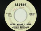 Blues R&B 45 - Johnny Copeland - Hear What I Said - All Boy - mp3