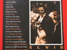 Elvis 