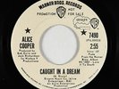 Rock 45 - Alice Cooper - Caught In A Dream - WB - VG+ mp3 - promo