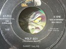 HALLOWEEN SALE 45 Monster Rocker Rockabilly Wolf Boy Sammy Salvo Novelty