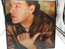 David Gilmour -About Face LP FC 39296 Columbia 1984 TMC VG+/NM Ultrasonic Clean