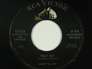 Rockabilly Teen 45 - Sammy Salvo - Wolf Boy - RCA Victor - mp3